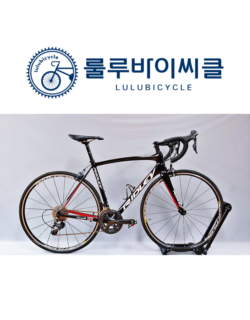 2019리들리 피닉스 SL 로또수달팀카 S사이즈 울테그라 R6800